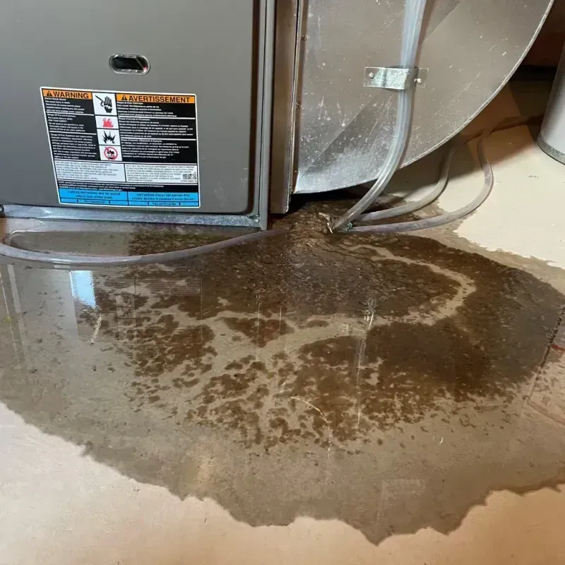 Appliance Leak Cleanup in Buckeye, AZ